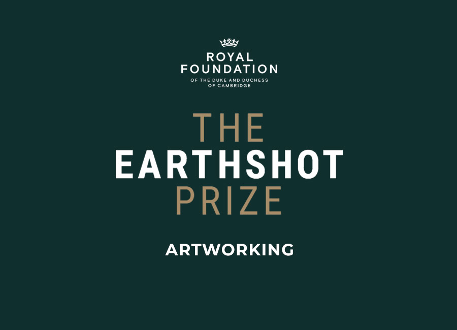 Earthshot Prize: Artworking